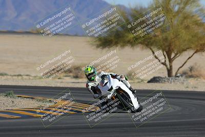 media/Feb-04-2023-SoCal Trackdays (Sat) [[8a776bf2c3]]/Turn 4 (Tree of Life 2pm)/